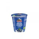 Jogurt Bioghurt Heidelbeere 150g 1 Stück