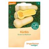 Saatgut Kürbis Butternut