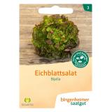 Saatgut Salat Eichblatt Red Bowl