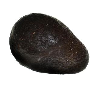 Avocado  ''Hass ''