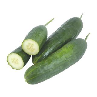 Gurke Landgurken