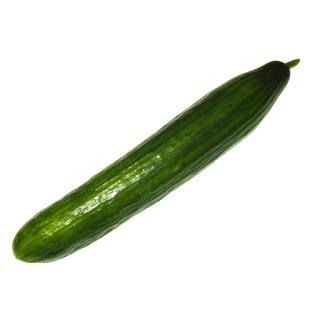 Gurke Schlangengurke regio Lebenshilfe