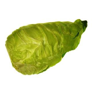 Kraut Frühkraut regio
