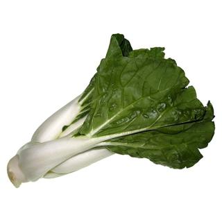 Pak Choi - Senf-Blätterkohl -