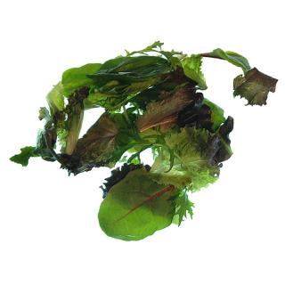 Salat Schnitt-Salat regio (150 g )