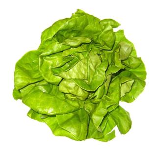 Salat " Kopfsalat" regio