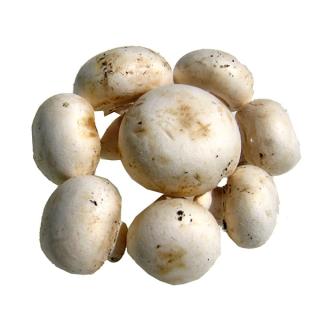 Pilze Steinchampignon 250g gepackt