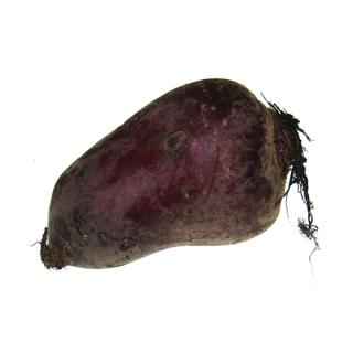 Rote Rüben im Bund Lebenshilfe