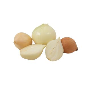 Zwiebel gelb