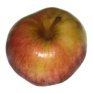 Apfel  " Jonagold "