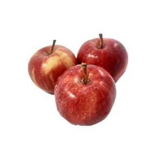Apfel " Gala "