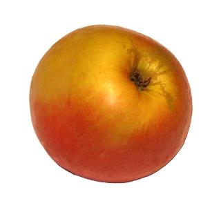 Apfel " Idared "