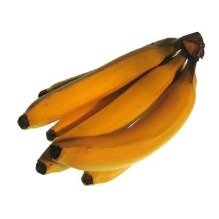 Banane kanarische * NEU *