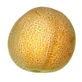 Melone " Galia "