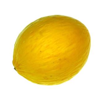 Melone " Galia "