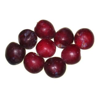 Pflaume rot