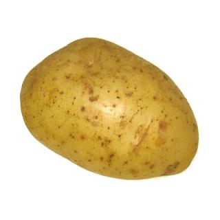 Kartoffeln "Agria" mehlig kochend