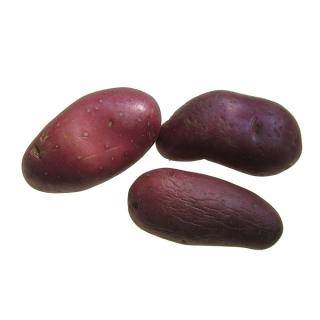Kartoffeln " Luna Rossa "