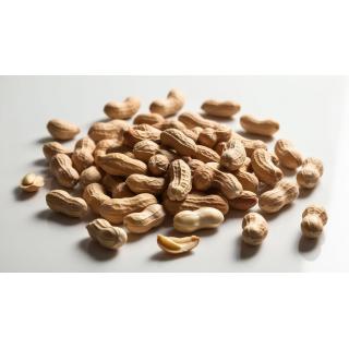 Erdnüsse in Schale, frisch geröstet 250g