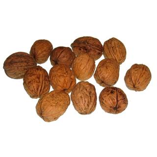 Walnüsse   Grenoble