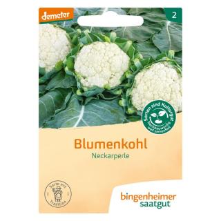 Saatgut Blumenkohl Neckarperle