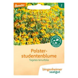 Saatgut Tagetes Polsterstudentenblumen