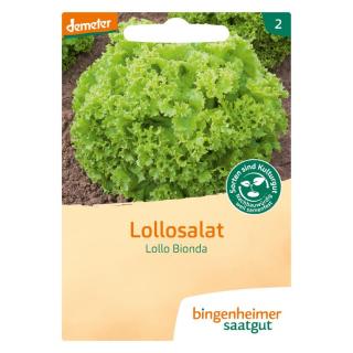 Saatgut Salat Lollosalat Lollo Bionda