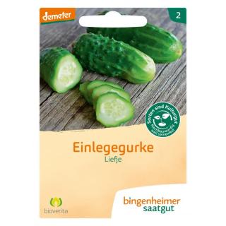 Saatgut Einlegegurken Liefje