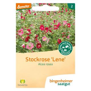Saatgut Stockrose "Lene"